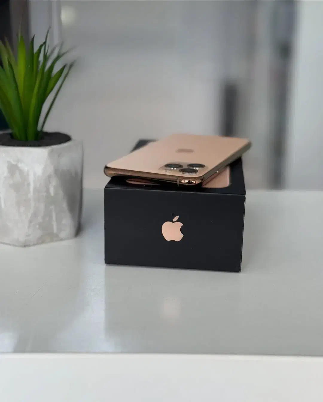 iphone 11 pro|موبایل|فسا, |دیوار