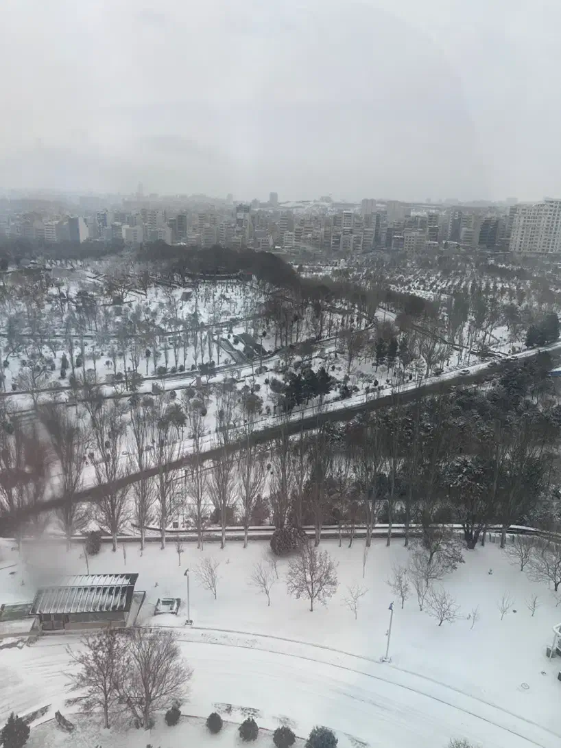 مسافر|فعالیت داوطلبانه|رفسنجان, |دیوار