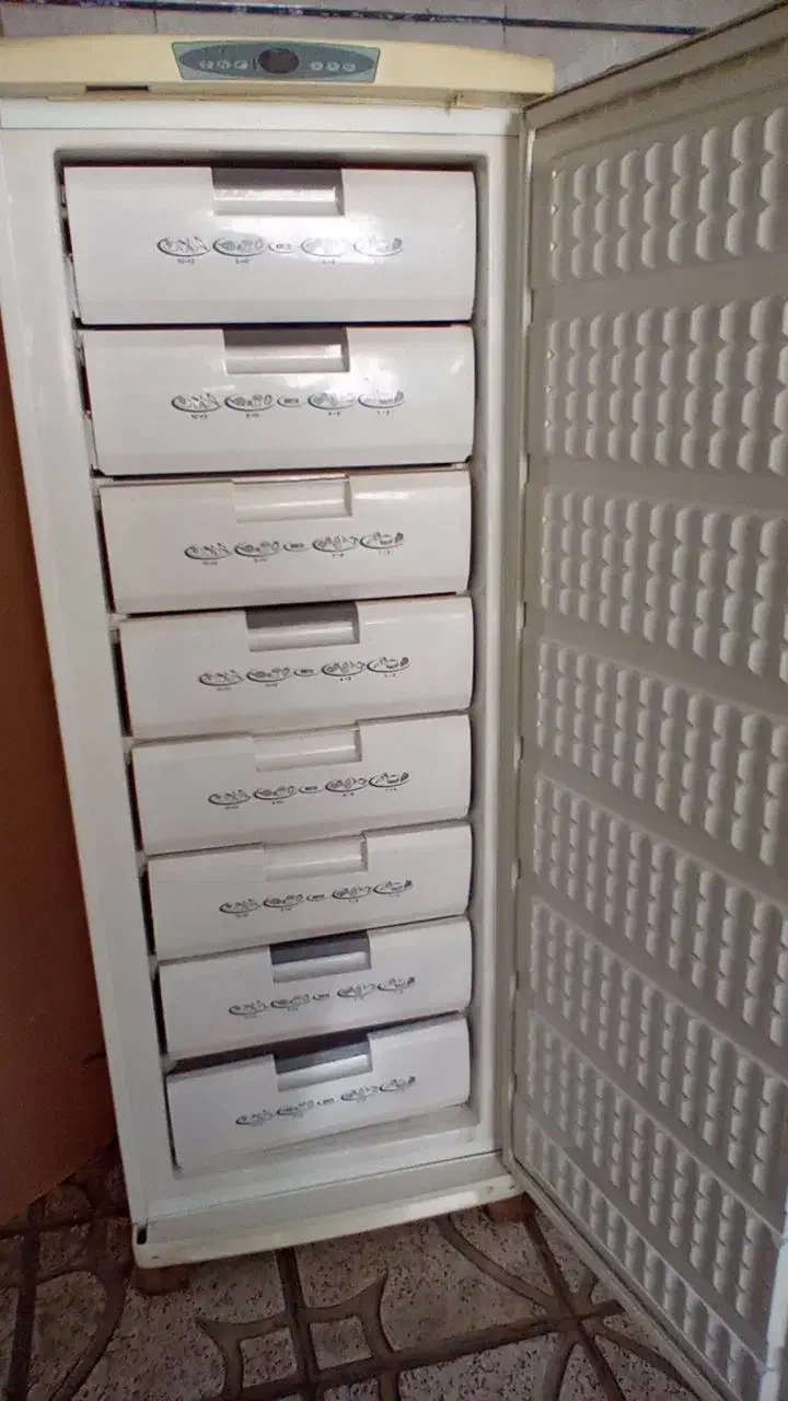 یخچال دوقلو ارج|یخچال و فریزر|همدان, |دیوار