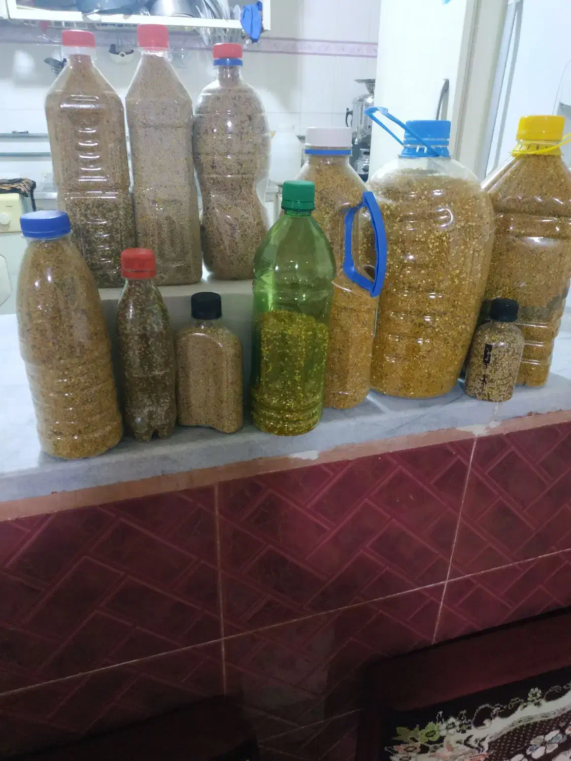گرده گل زنبور|عمده‌فروشی|قروه, |دیوار