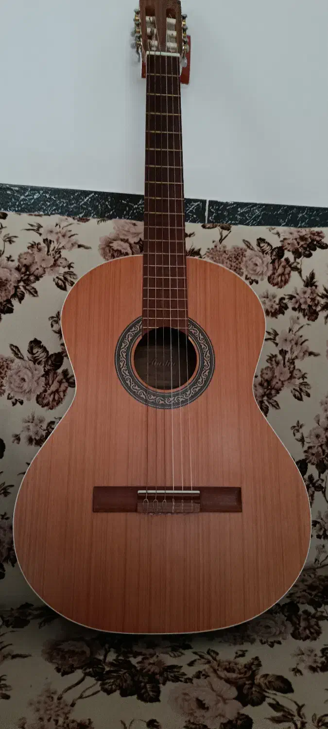 گیتار کلاسیک|گیتار، بیس، امپلیفایر|سبزوار, قائم|دیوار