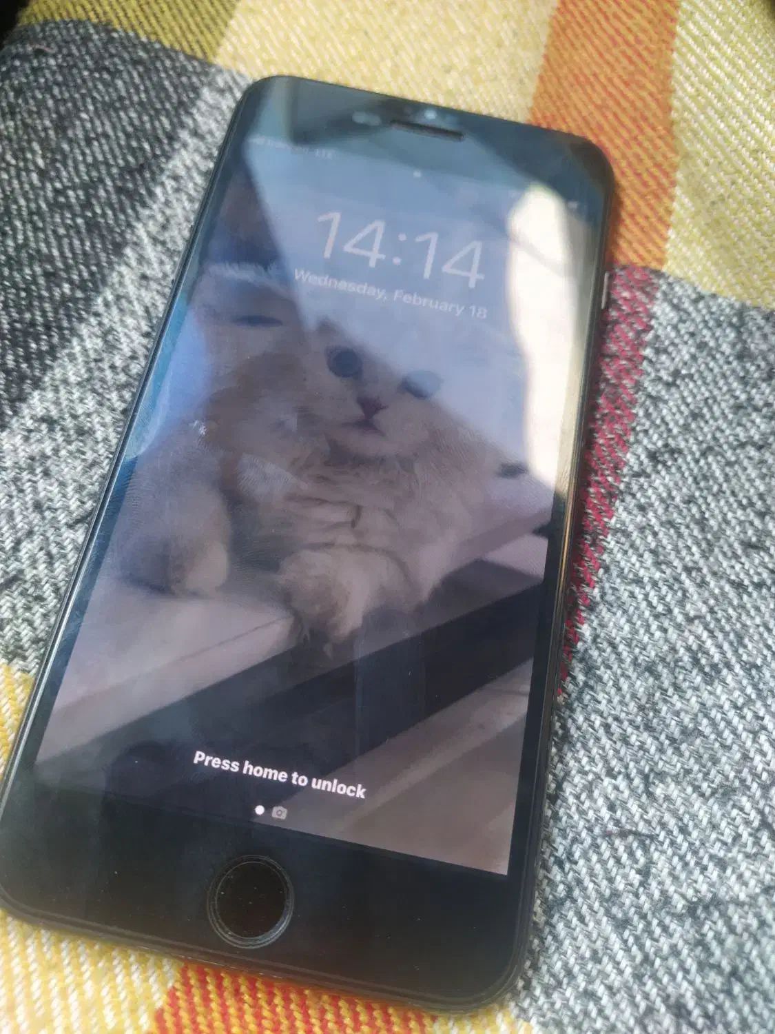 Iphone 7 plus 256 لازرورقی|موبایل|اراک, |دیوار