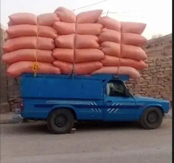 کاه گندم خرمن کوب قیمت نوشته شده درست نیس|لوازم جانبی حیوانات|شیروان (خراسان), |دیوار