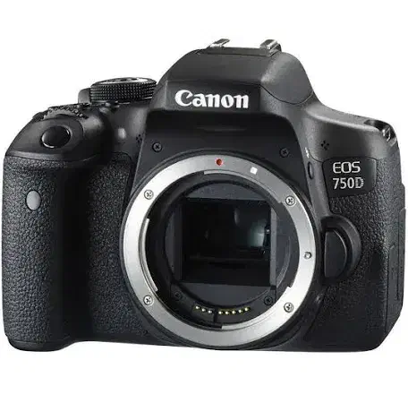 اجاره روزانه دوربین کنون|دوربین عکاسی و فیلم‌برداری|یزد, |دیوار