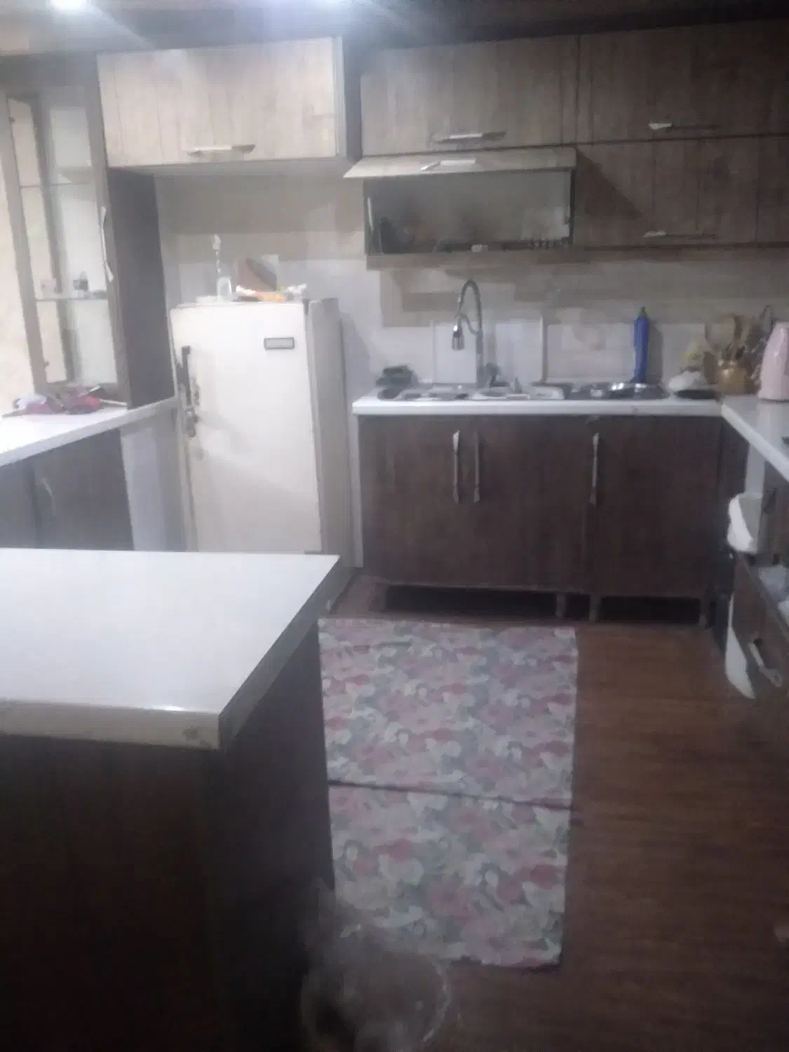 همخونه|اجارهٔ آپارتمان|بندرعباس, |دیوار