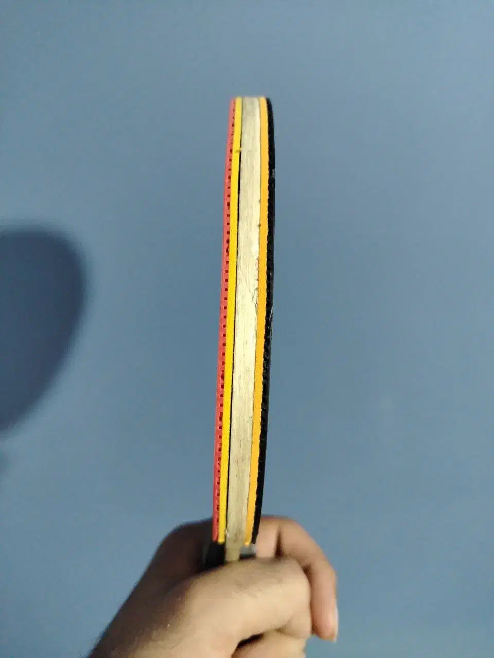 راکت پینگ پنگ|ورزشهای توپی|بوشهر, |دیوار