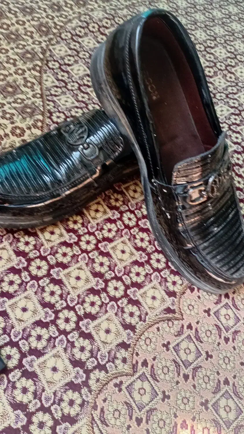 کتانی ۹|کیف، کفش، کمربند|اردبیل, |دیوار