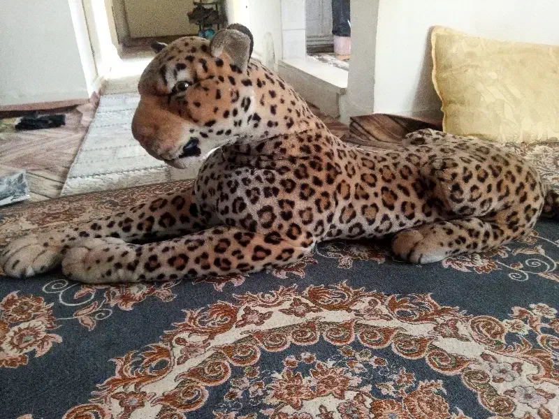 عروسک ببر|اسباب‌‌بازی|محمدیه-قزوین, |دیوار