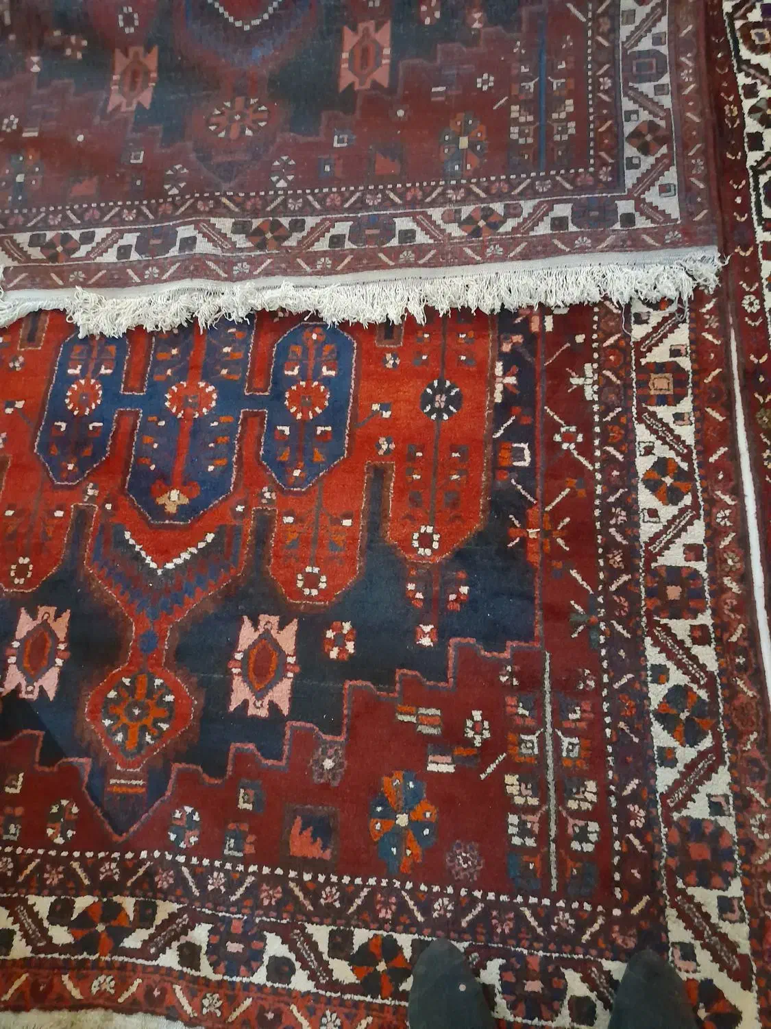 فرش دستباف درجه یک چالشتری|فرش|نجف‌آباد, جلال آباد|دیوار