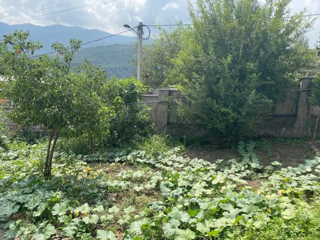 390 متر خانه ویلایی /روستای فلورد|فروش زمین و ملک کلنگی|زیرآب, |دیوار