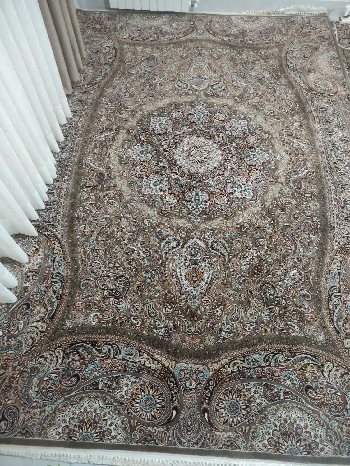 فرش 6متری و 12متری|فرش|گرگان, |دیوار