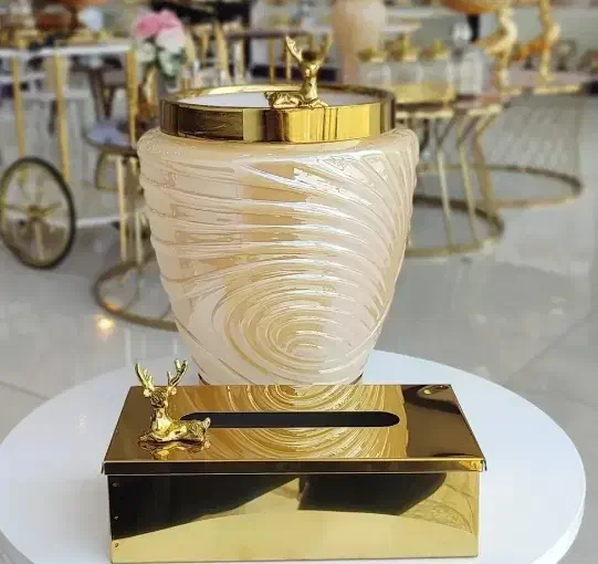 راهنمایی میخام|فعالیت داوطلبانه|ایلام, |دیوار