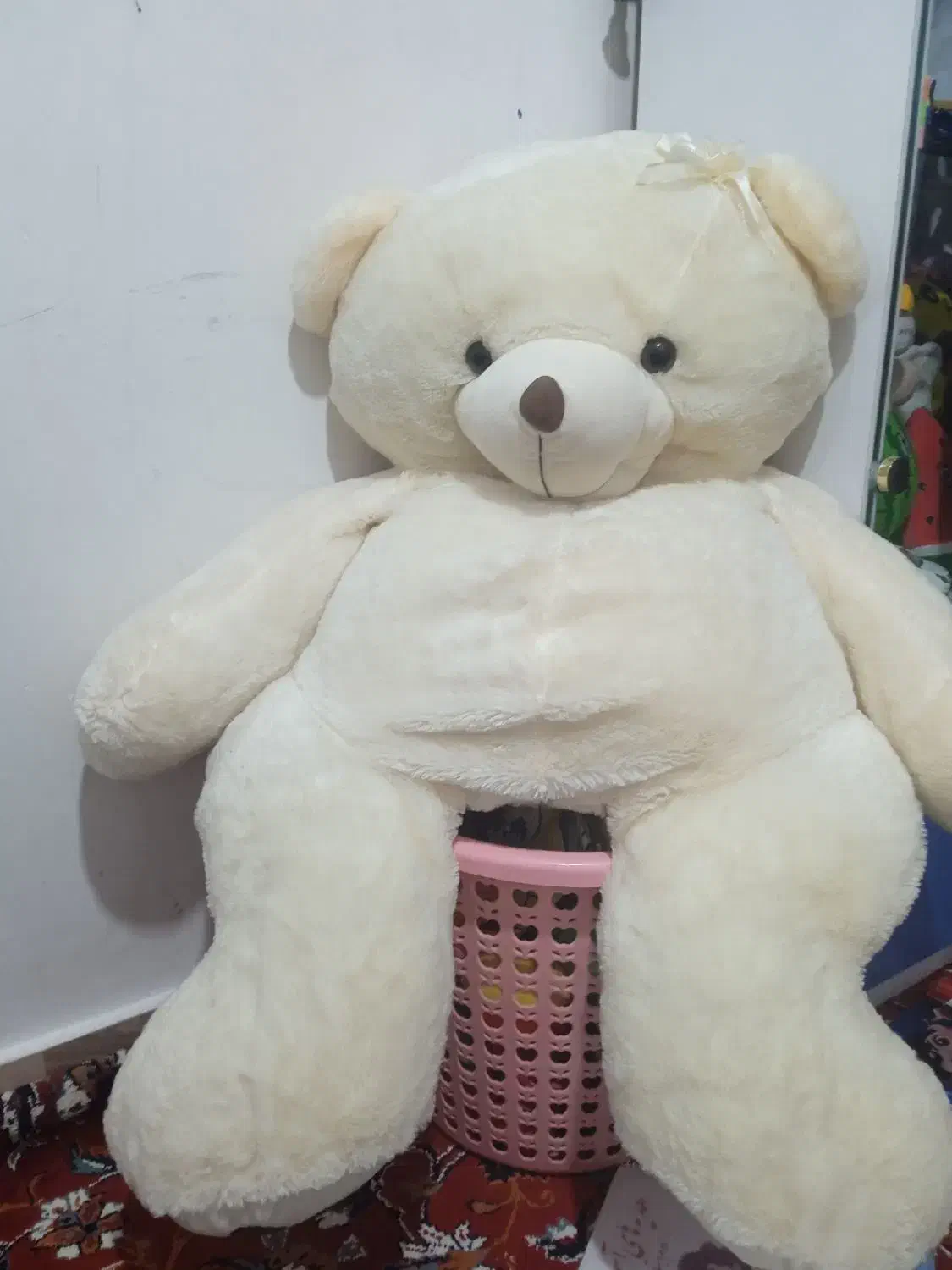 عروسک|اسباب‌بازی بچه|تبریز, |دیوار