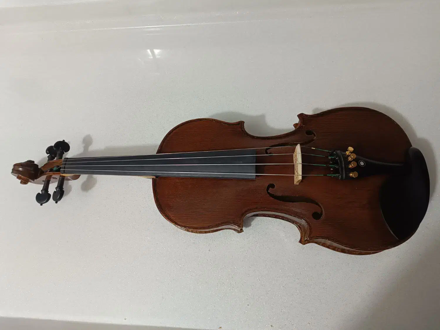 ویولن دست ساز|ویولن|سقز, |دیوار