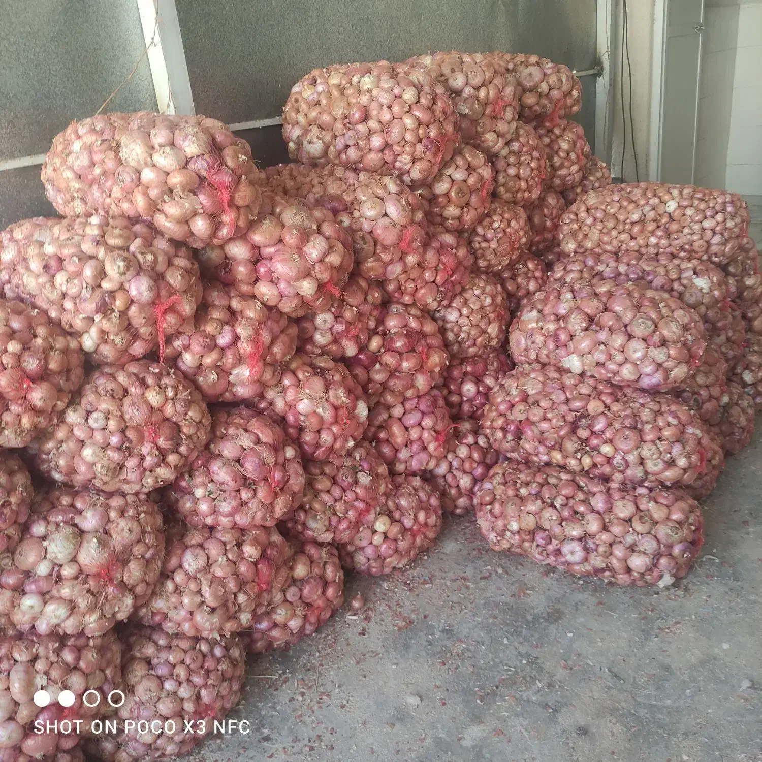 پیاز سپیدان|عمدهفروشی|همایجان, |دیوار