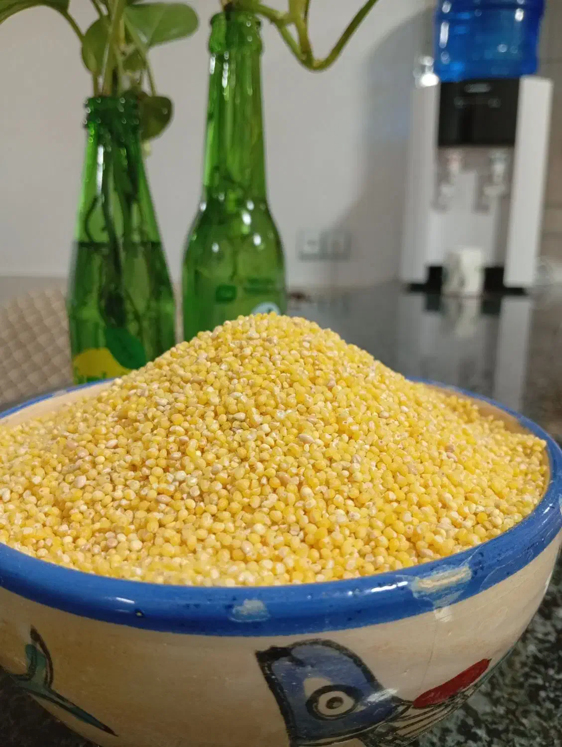 ارزن پوست گرفته(مغز ارزن)|لوازم جانبی حیوانات|خور (اصفهان), |دیوار