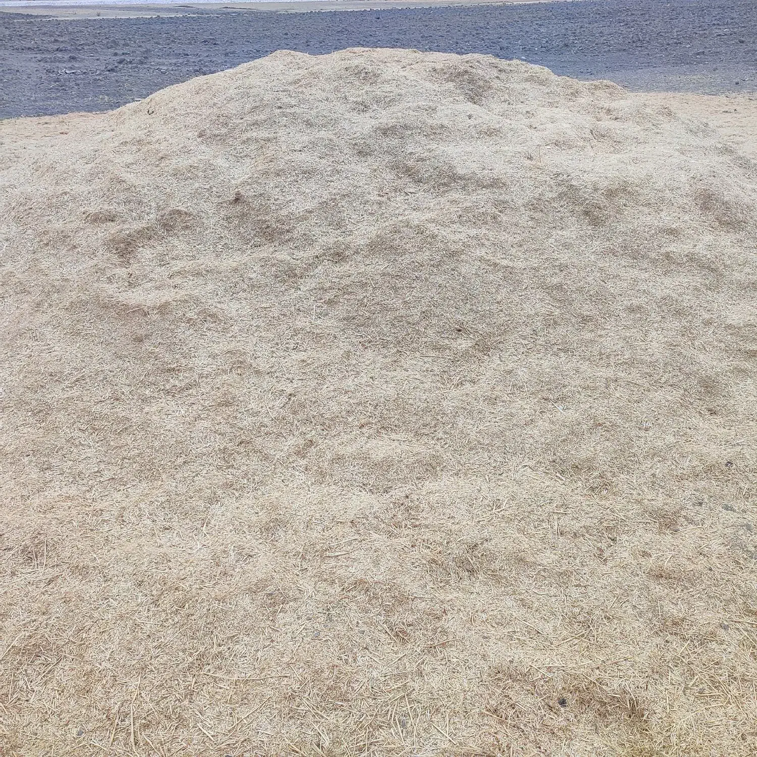 کاه جو دیم|عمده‌فروشی|شیروان (لرستان), |دیوار