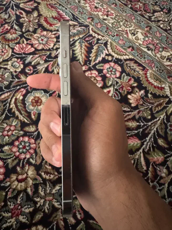 ایفون 15 pro max|موبایل|کرمان, |دیوار