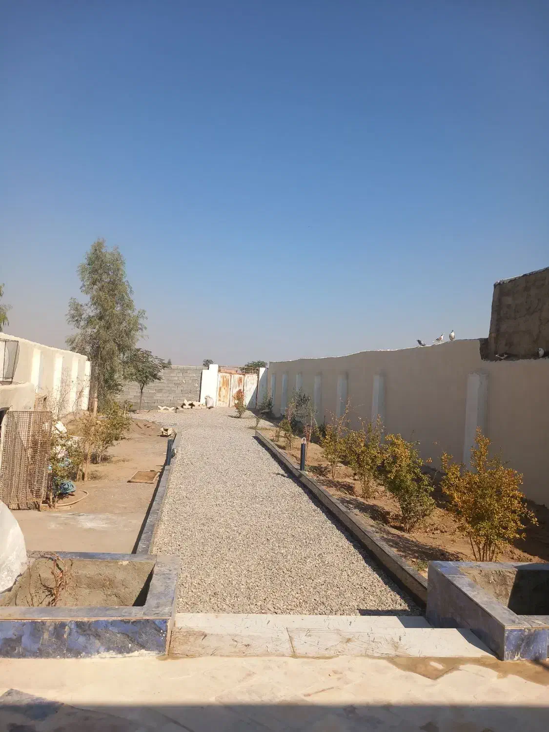 خونه باغ ۴۵۰متر سند تک برگ|فروش خانه و ویلا|کویرات, |دیوار