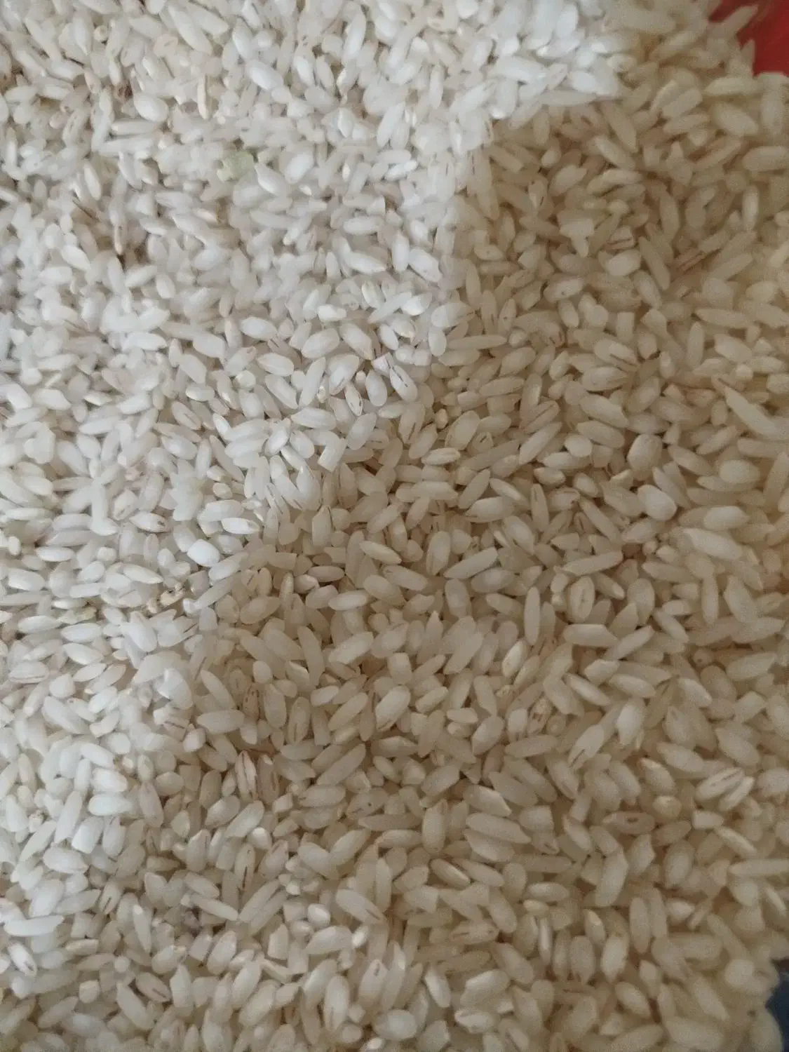 برنج|خوردنی و آشامیدنی|محمدیه-قزوین, |دیوار