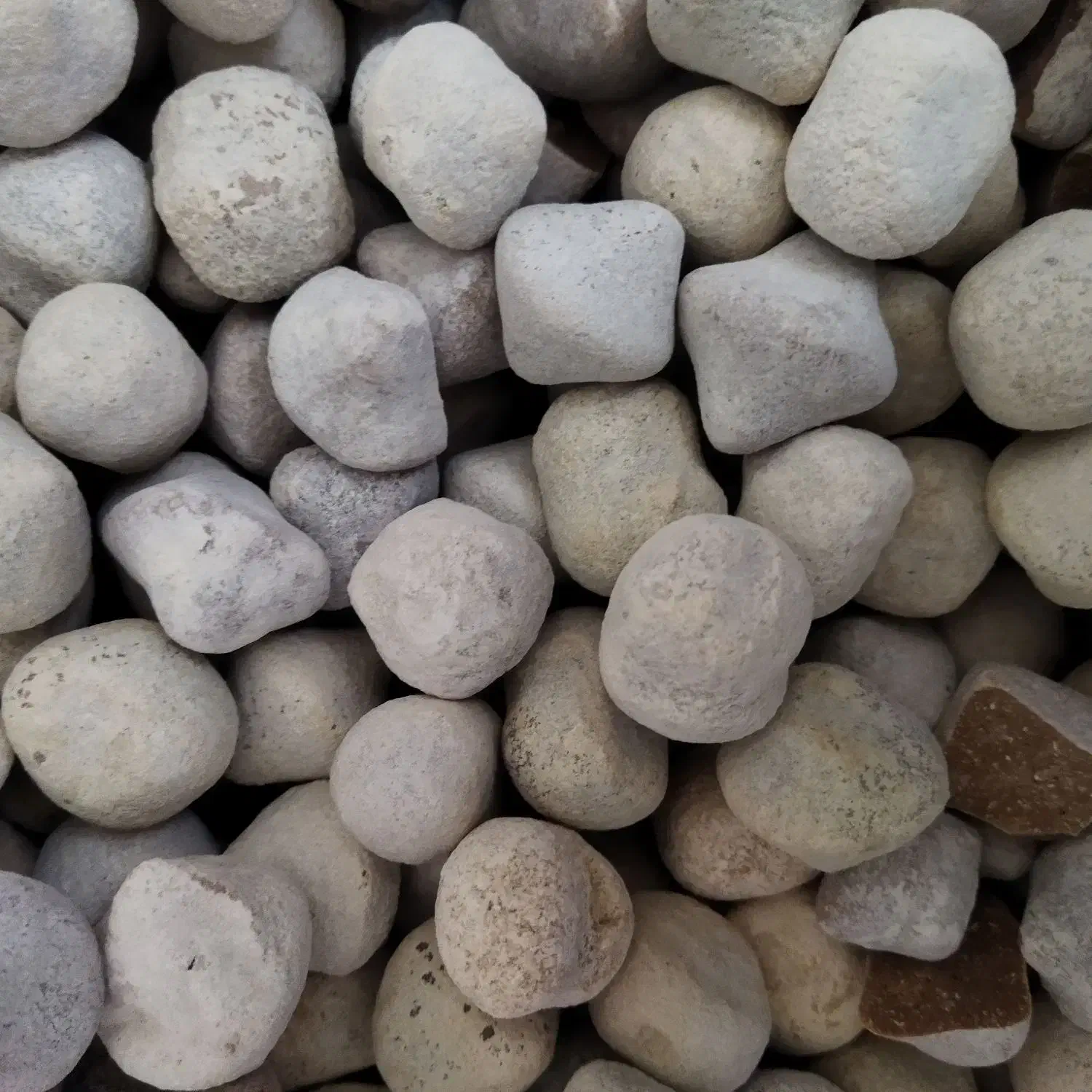 خوراکی. کشک.گردو|خوردنی و آشامیدنی|رفسنجان, |دیوار