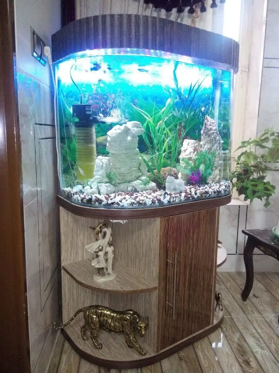 آکواریوم شیشه خم|ماهی|خمینی‌شهر, |دیوار