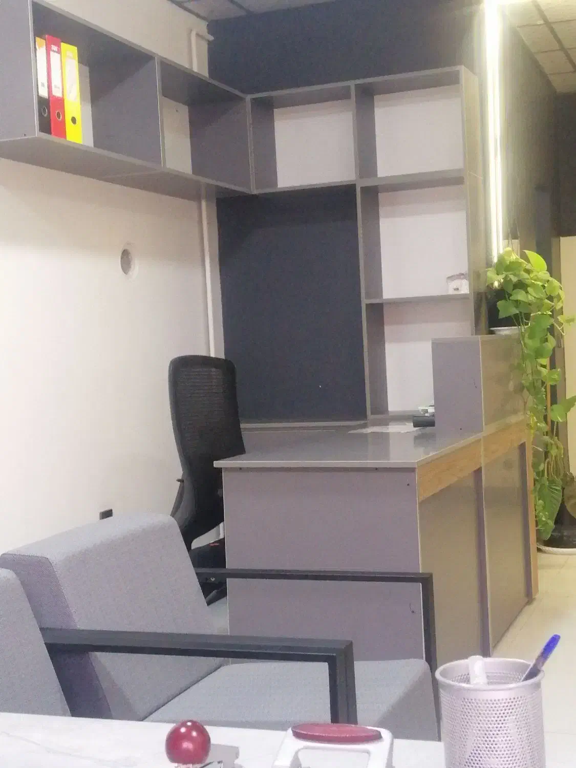 منشی خانم جهت همکاری در دفتر املاک|استخدام بازاریابی و فروش|الوند, |دیوار