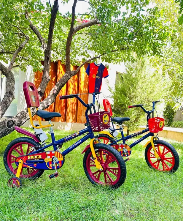 دوچرخه سونیک ۱۲|دوچرخه، اسکیت، اسکوتر|شوشتر, |دیوار