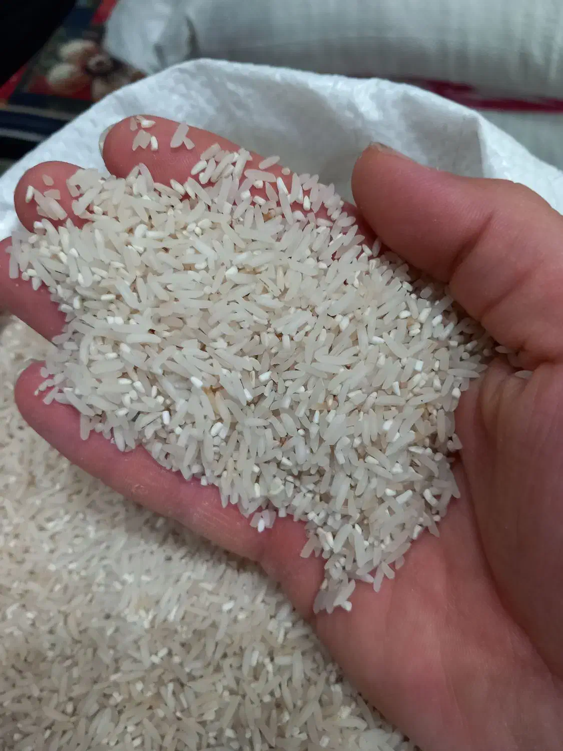 برنج سرلاشه وفجر موجود میباشد|خوردنی و آشامیدنی|گنبد کاووس, |دیوار