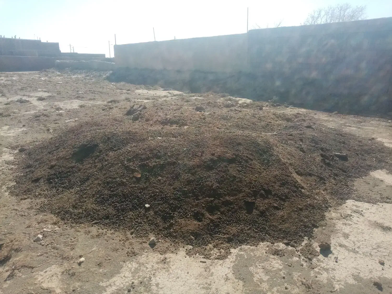 کود|لوازم جانبی حیوانات|داورزن, |دیوار