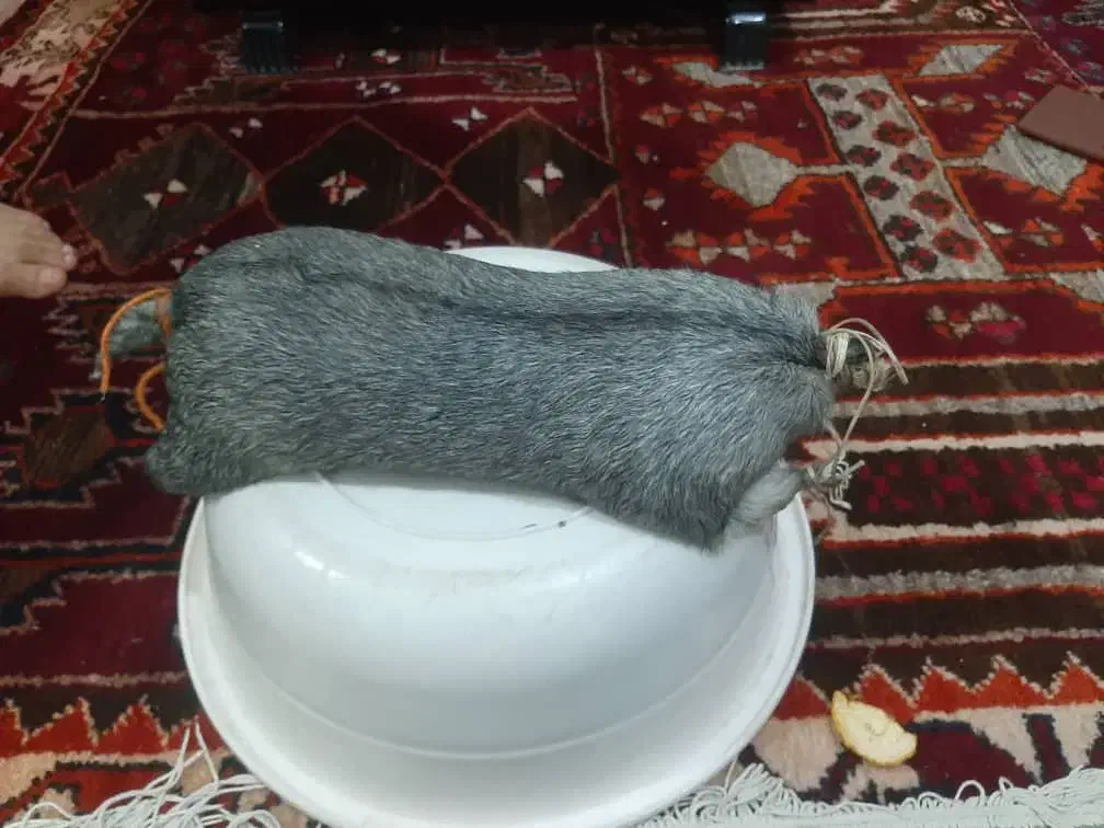 فروش هیزه جاروغن حیوانی|ظروف نگهدارنده، پلاستیکی، یکبارمصرف|اندیمشک, |دیوار