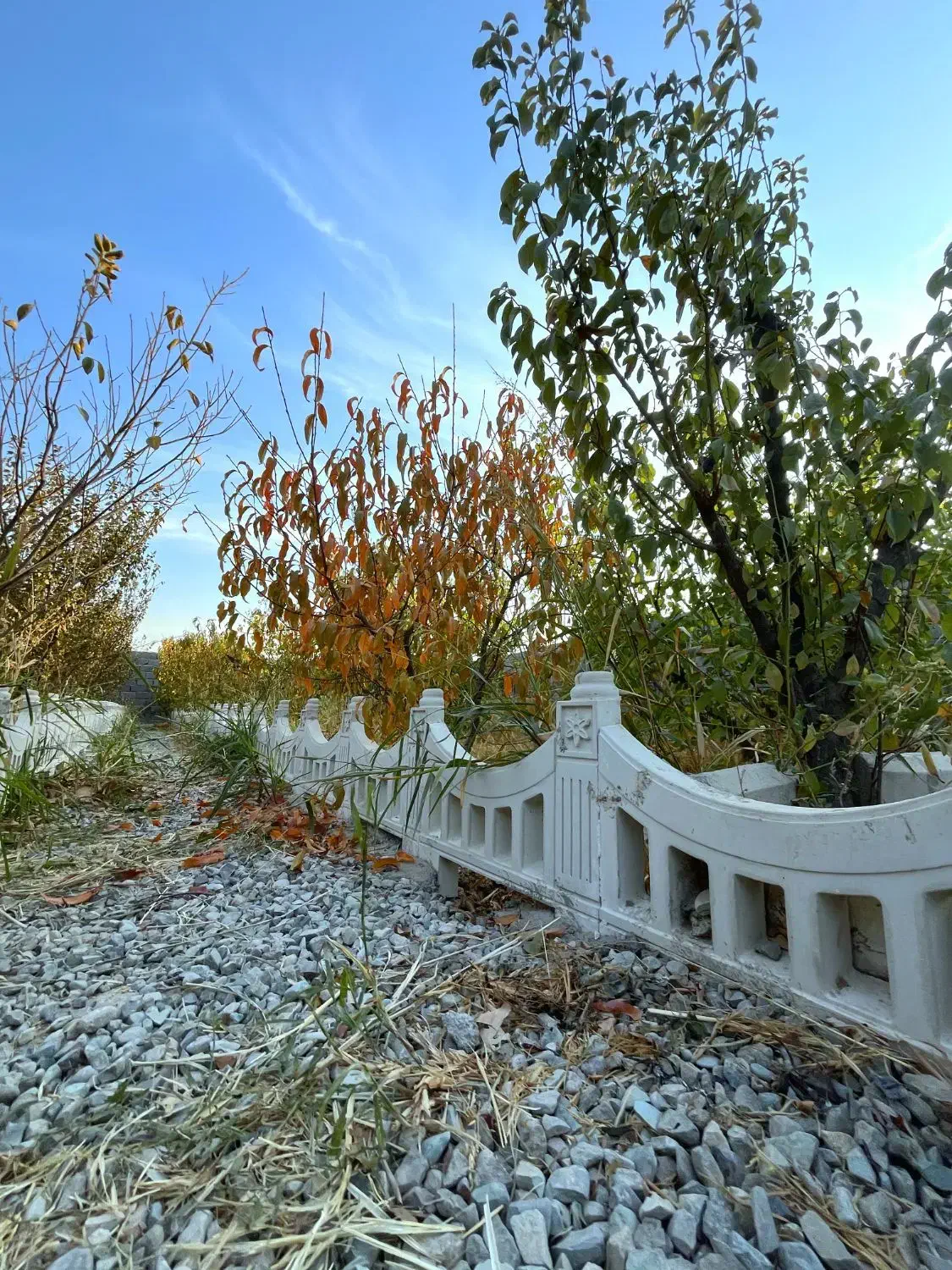 باغ (آلاچیق و باربیکیو)اطراف ساخته شده سرسبز و دنج|فروش زمین و ملک کلنگی|اسلامشهر, شهرک احمدیه|دیوار