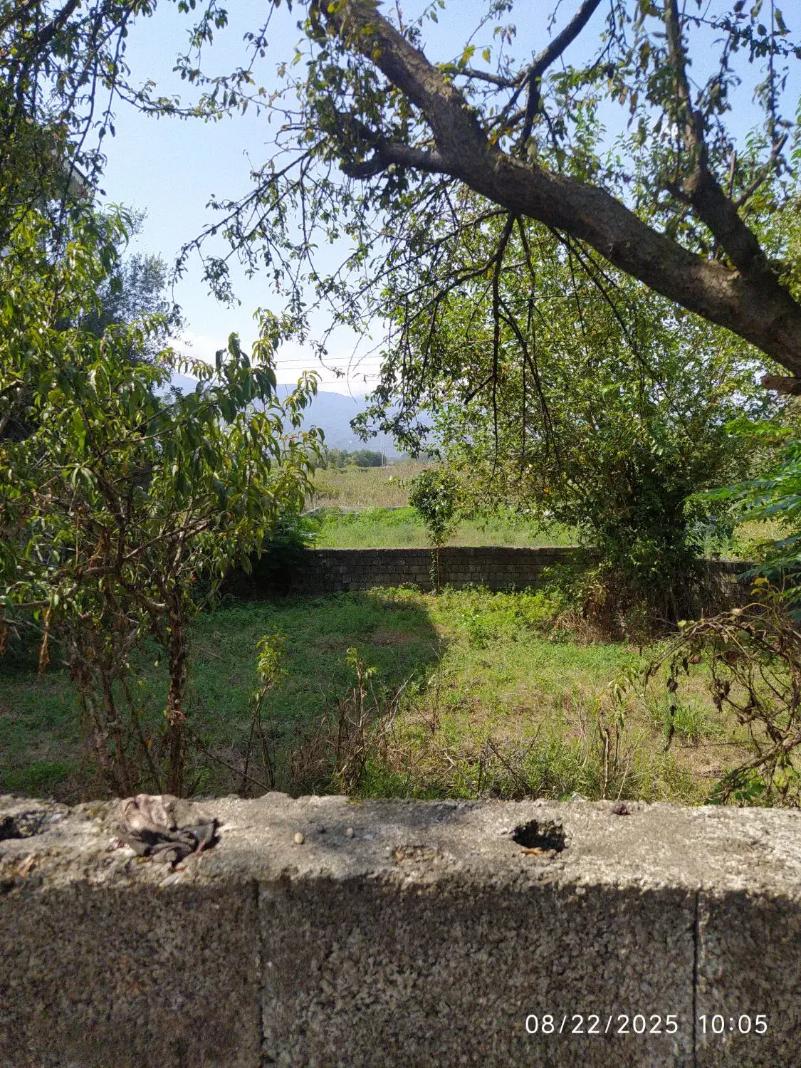 زمین مسکونی کلاچای نوده|فروش زمین و ملک کلنگی|کلاچای, |دیوار