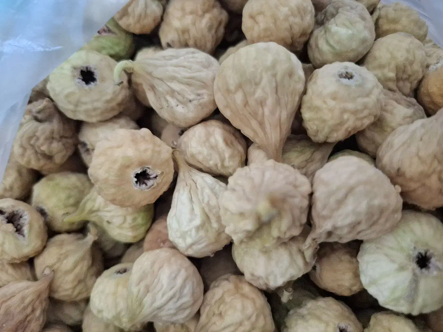 انجیر استهبان|خوردنی و آشامیدنی|شیراز, داریون|دیوار
