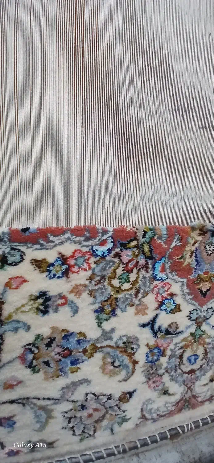 قالی ۹ متر پشمی|فرش|کاشان, امیرکبیر|دیوار