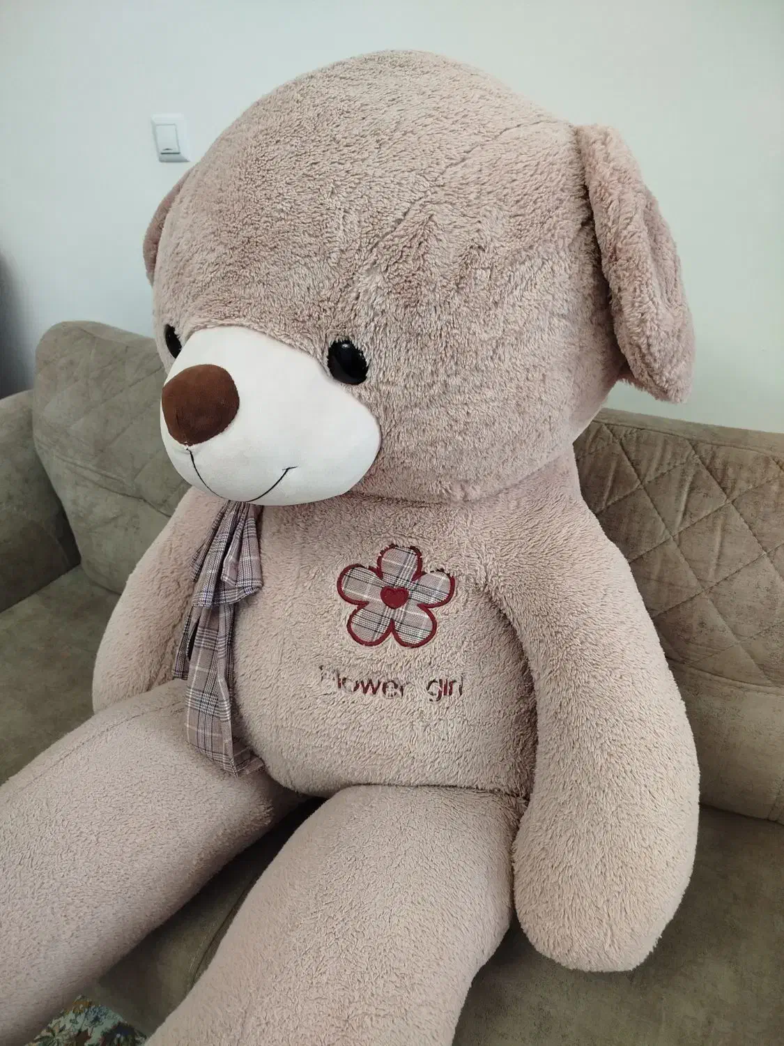 خرس بزرگ|اسباب‌‌بازی|زنجان, |دیوار