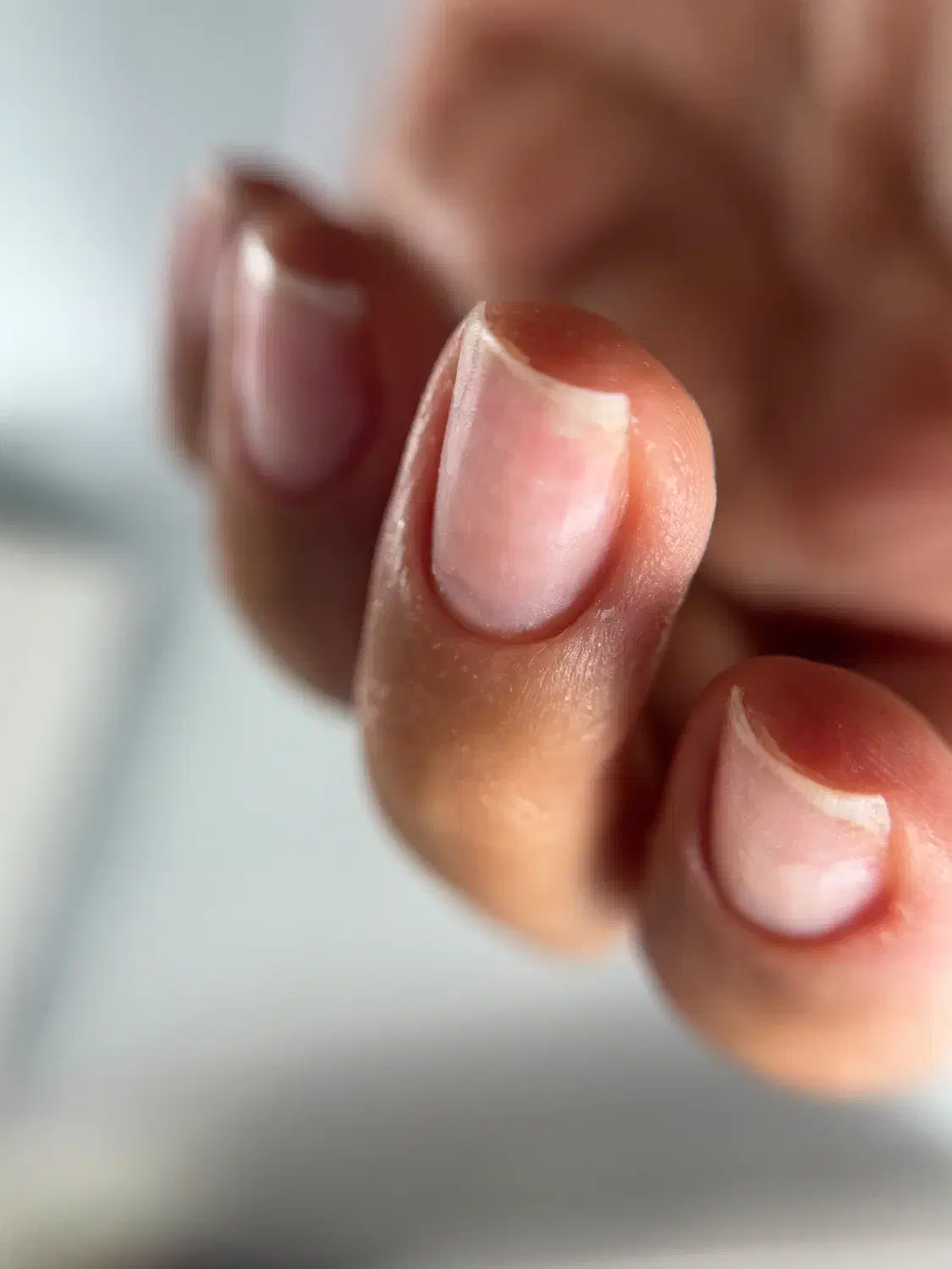 آموزش تخصصی مانیکور روسی و سالنی|خدمات آموزشی|رشت, کاکتوس|دیوار