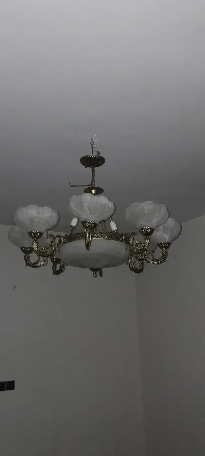 یک عدد لوستر ۸ شعله کلاسیک|لوستر و چراغ آویز|تهران, شادمان|دیوار