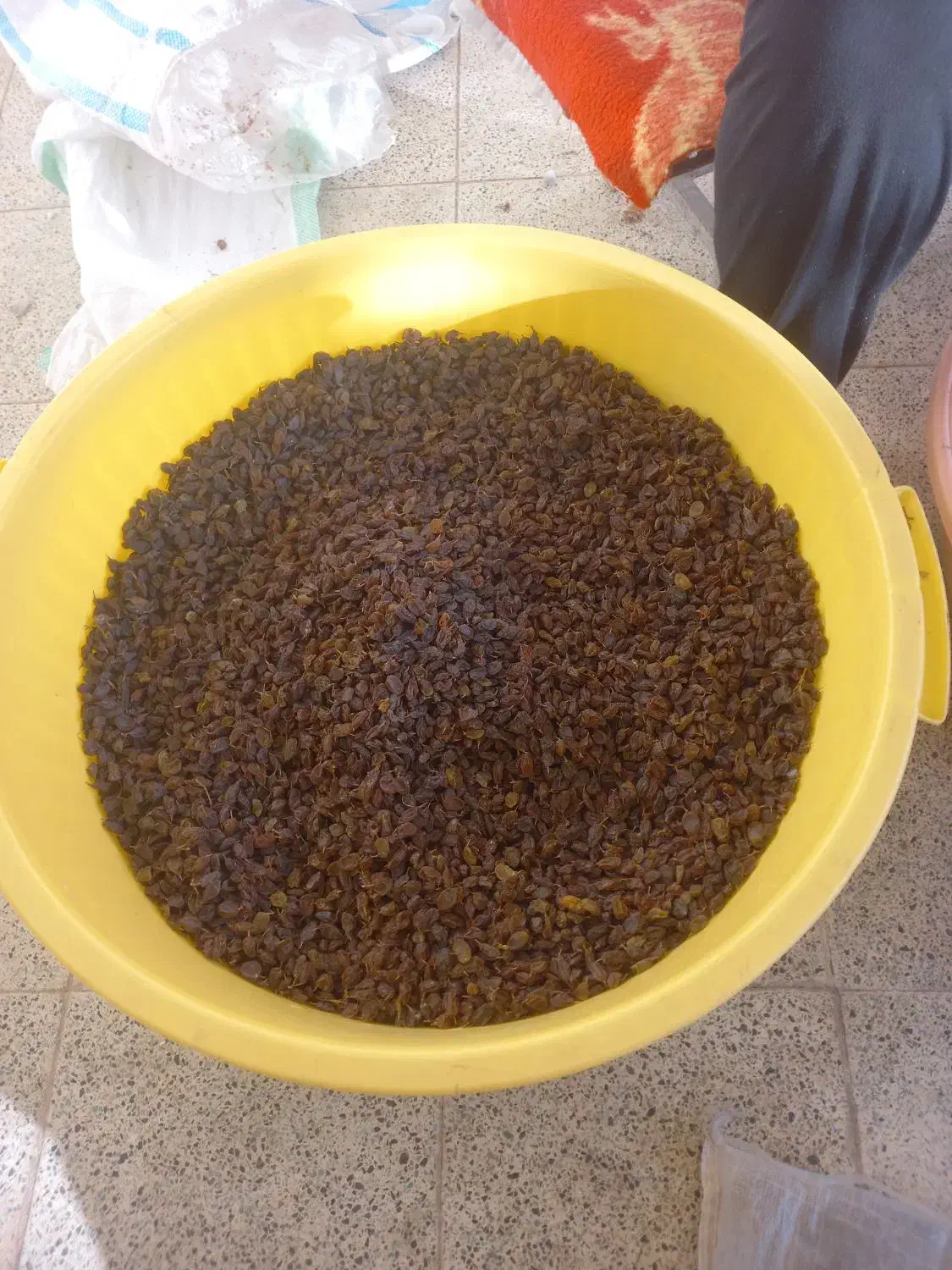 کشمش اصل آفتابی اورگانیک خون ساز|خوردنی و آشامیدنی|هشتگرد, شهرک گلها|دیوار