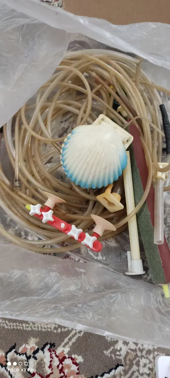 وسایل آکواریوم|ماهی|بندر انزلی, آذربایجان|دیوار