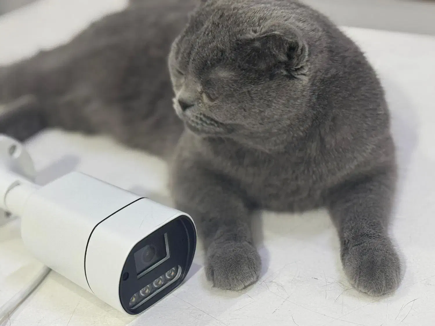 دوربین تو( ۸ماهه )نصب کن|دوربین مداربسته|میبد, |دیوار