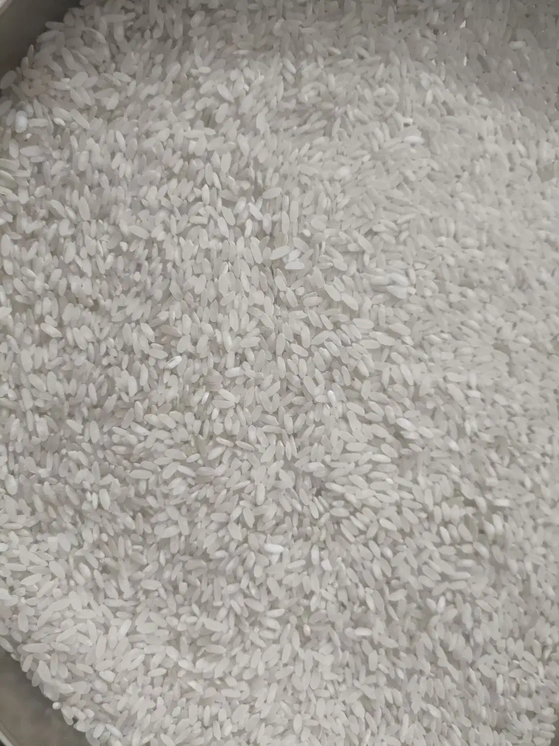 برنج کامفیروزی به شرط|عمده‌فروشی|مرودشت, ثبت احوال|دیوار