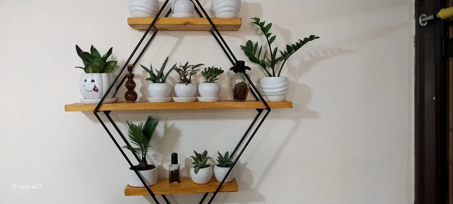 دکوراسیون گل و مجسمه شیک|کتابخانه، شلف، قفسه‌های دیواری|کنگاور, |دیوار