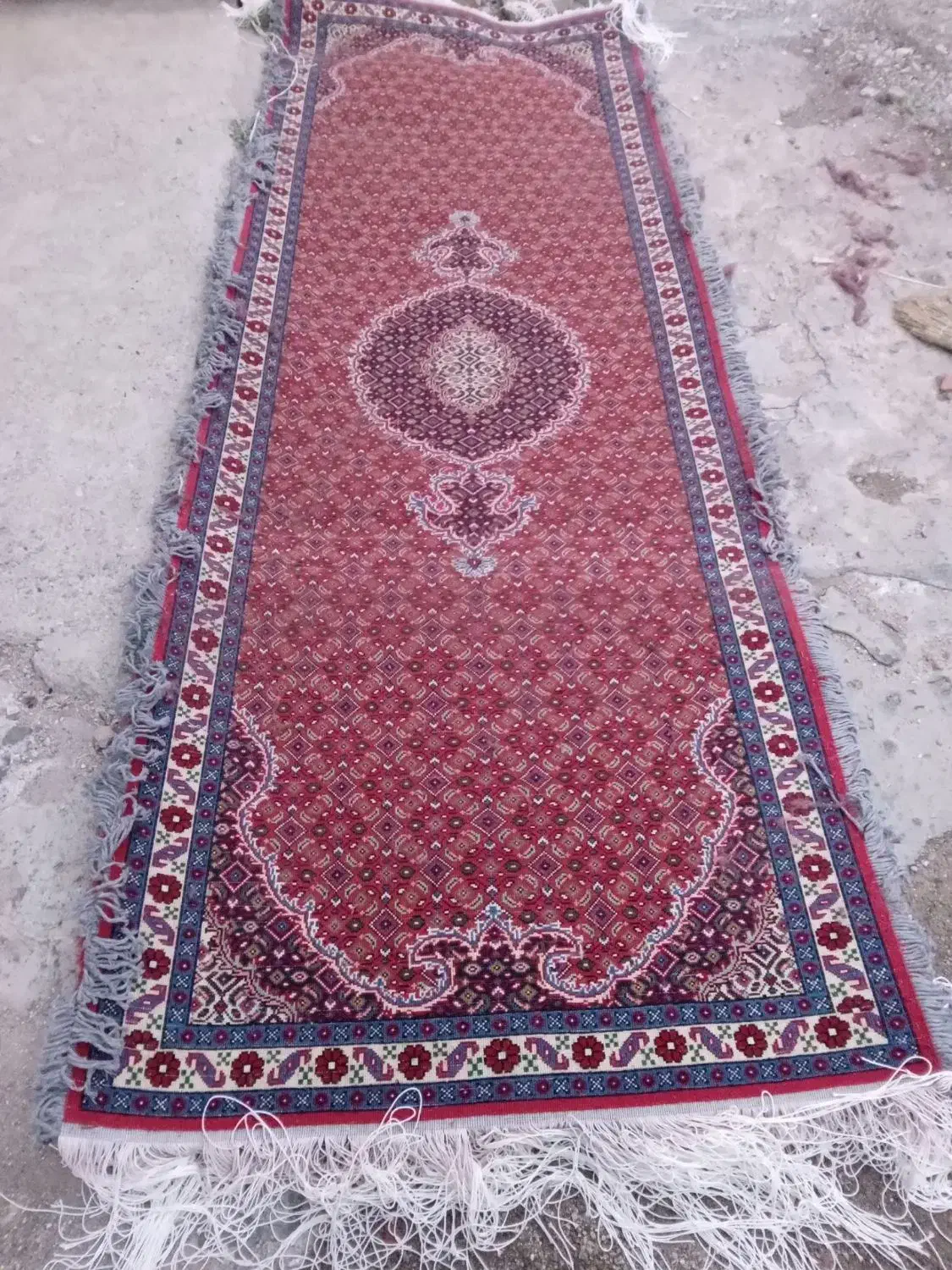 فرش دستباف کناره و ماشینی ۱۲ متری|فرش|اردبیل, |دیوار