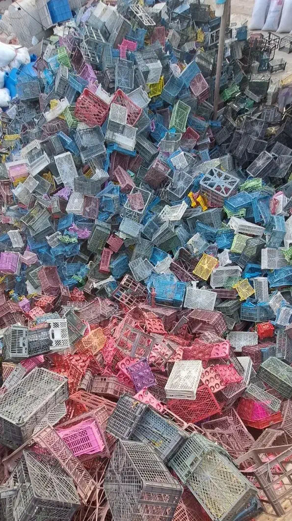 سبدمیوه جعبه کارتن موزی|عمدهفروشی|ورامین, جعفر آباد اخوان|دیوار