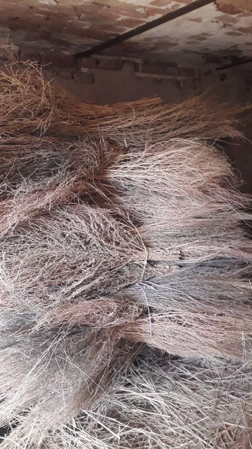 جارو سوفوری و پلاستیکی|لوازم نظافت|قزوین, |دیوار