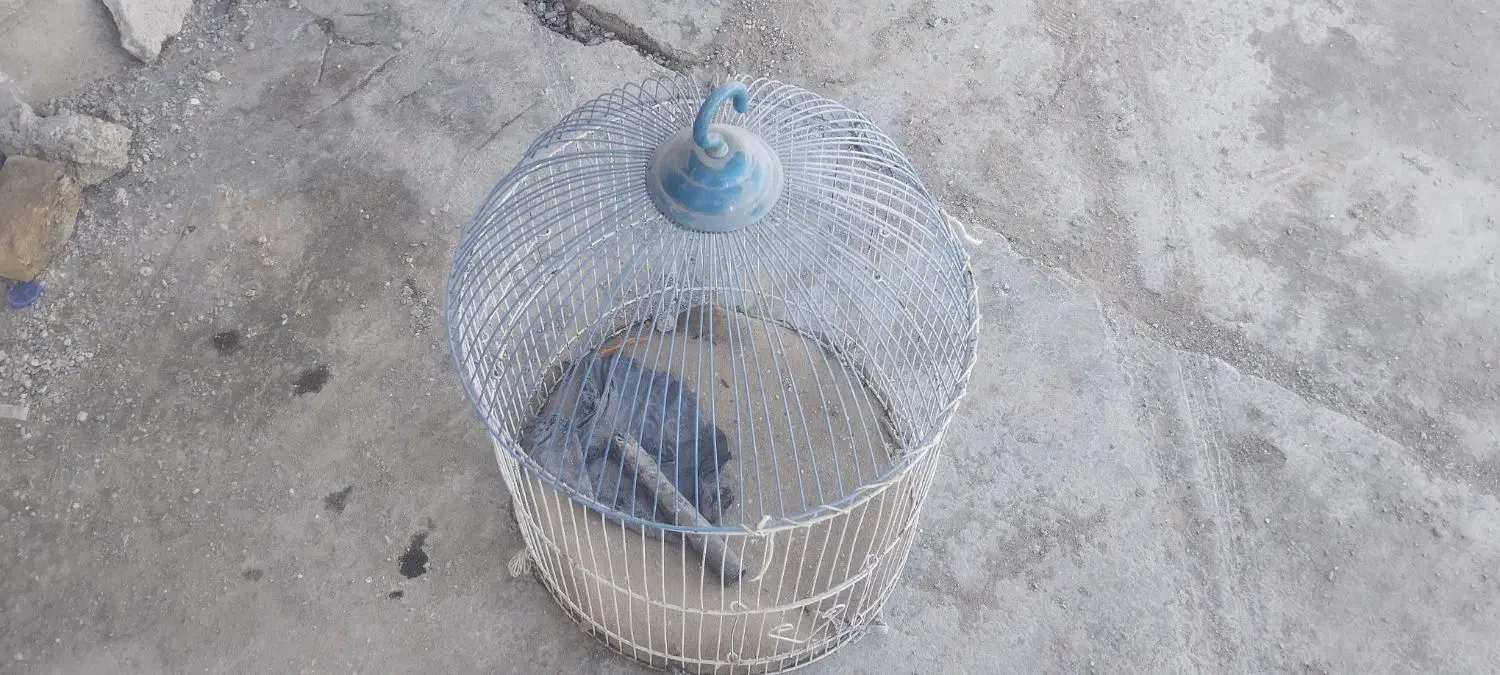 قفس|لوازم جانبی حیوانات|خاش, |دیوار