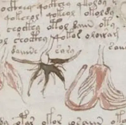 کتاب، کار تضمینی|کتاب و مجله مذهبی|تهران, جیحون|دیوار