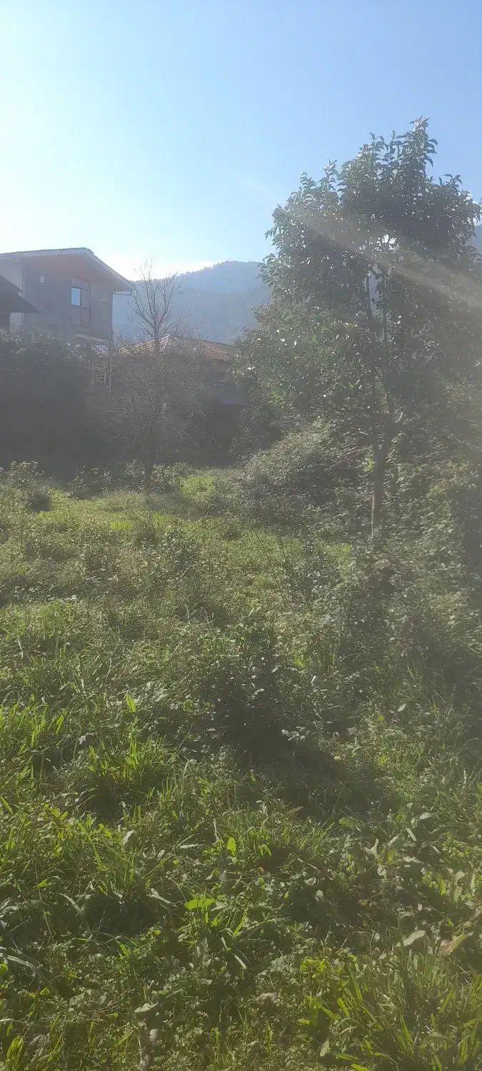 زمین ۱۲۰۰ متری  با کاربری|فروش زمین و ملک کلنگی|چابکسر, |دیوار