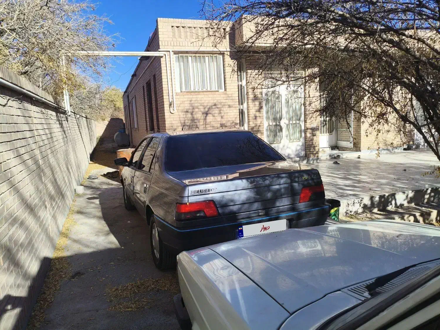 پژو دلفینی مدل 93|خودرو سواری و وانت|راین, |دیوار